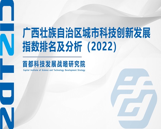 女操逼中国人【成果发布】广西壮族自治区城市科技创新发展指数排名及分析（2022）